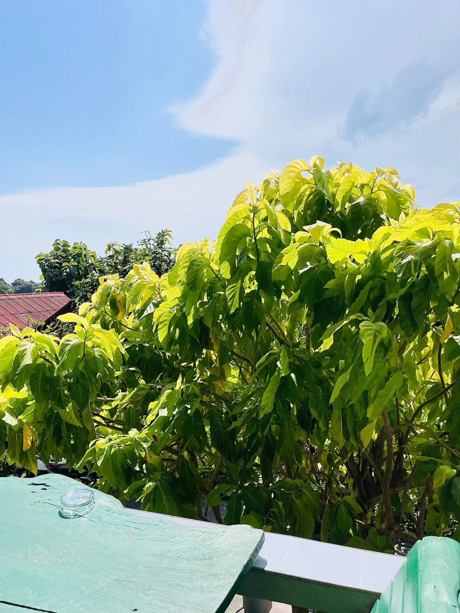 Tanouy Garden Villa Baan Khai Luaran gambar